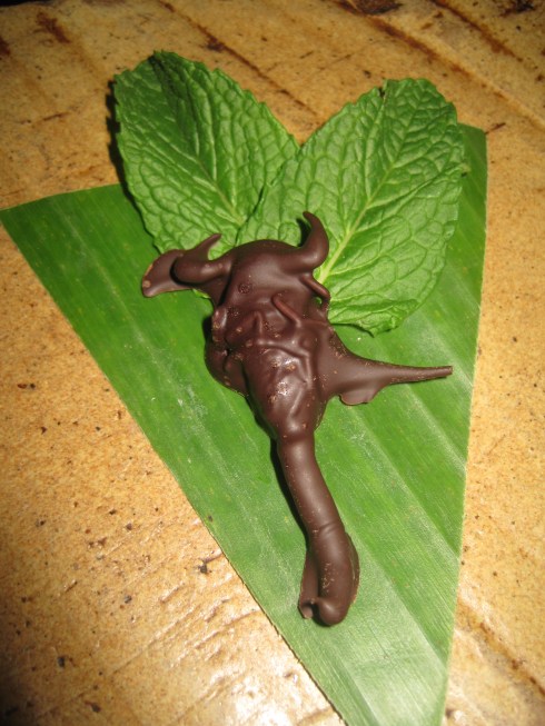 Chocolate covered scorpion